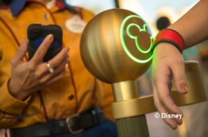 Disney biometric access control